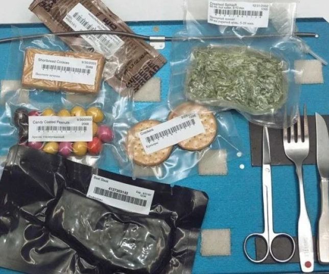 Como é a comida no espaço? A tripulação da Artemis II explica; veja