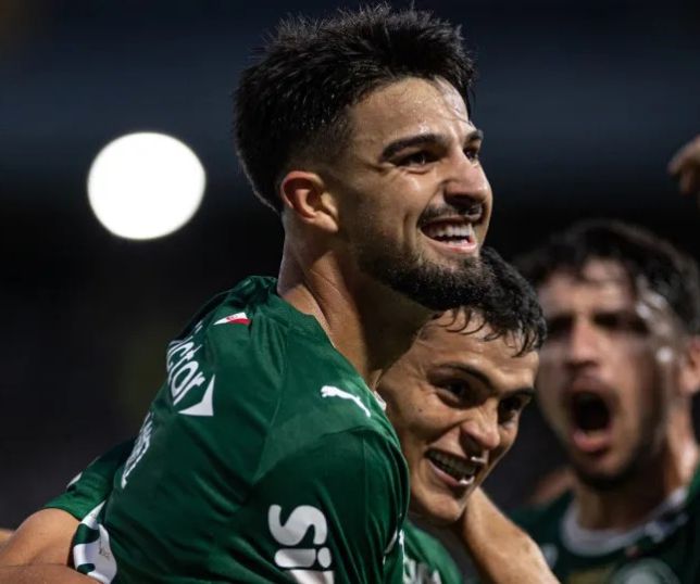 Palmeiras ativa ''modo economia'' para vencer e sobrar no Brasileiro