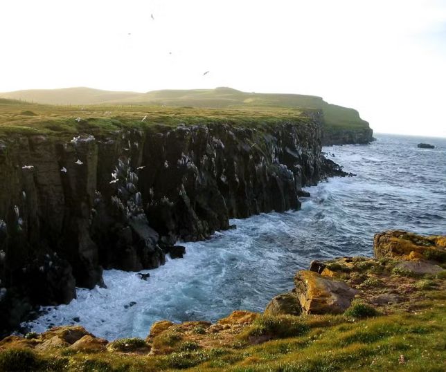 Mosquitos avançam no Ártico e cientistas alertam para risco global sem monitoramento