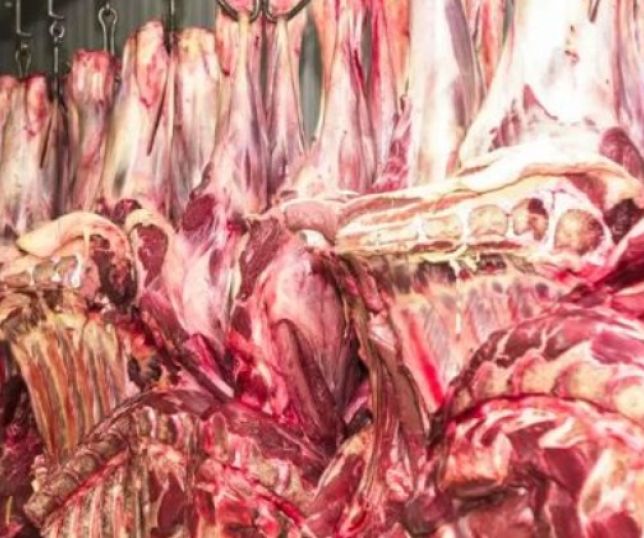 Exportações de carne bovina do Brasil crescem 32% em receita no primeiro trimestre