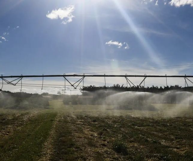 Estudo alerta que ameaças a espécies que vivem no solo ainda são pouco conhecidas