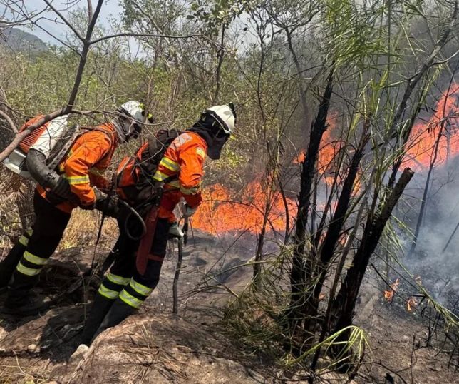 Prevfogo detalha regras para seleção de brigadistas temporários do Ibama