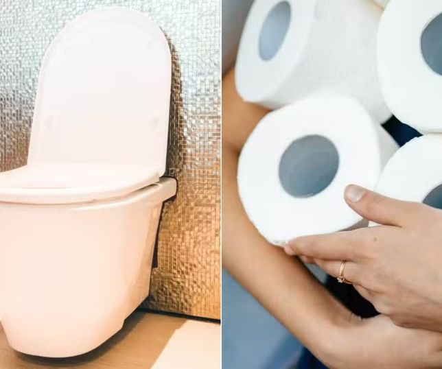 Tendência japonesa substitui papel higiênico por tecnologia mais higiênica nos banheiros