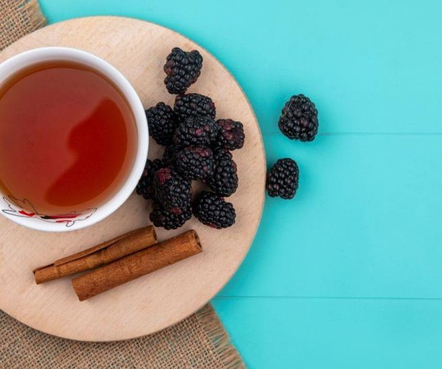 Chá de amora ganha destaque como opção natural para aliviar sintomas da menopausa