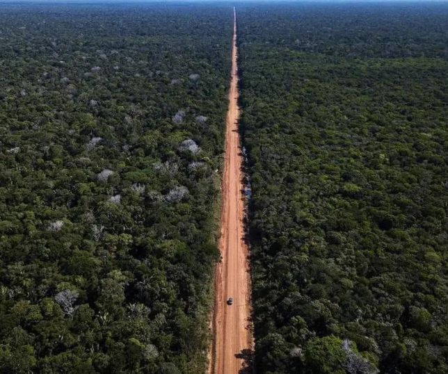 Justiça suspende obras da BR-319 e cobra esclarecimentos sobre impacto ambiental