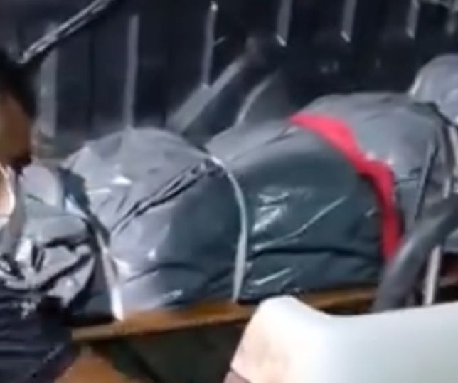 Filho de professora morta a facadas é detido como principal suspeito em investigação no interior do Pará. VEJA VÍDEO