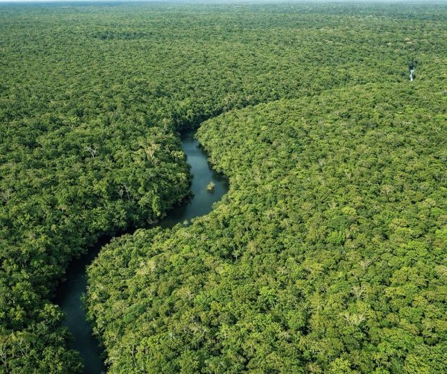 Dados do INPE indicam avanço no controle do desmatamento no Amazonas