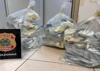 Polícia Federal prende passageira em flagrante com 36,5 quilos de maconha skunk no Aeroporto Internacional de Manaus