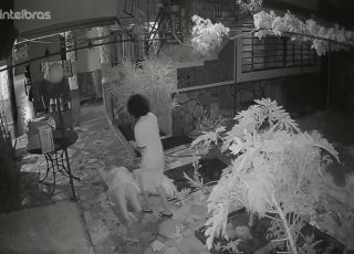 Idosa é espancada por hóspede bêbada em pousada no Distrito Federal e agressora é liberada pela Justiça. VEJA VÍDEO