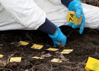 Mais de mil fragmentos de ossos foram encontrados perto de um lago e revelou realidade devastadora