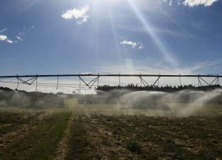 Estudo alerta que ameaças a espécies que vivem no solo ainda são pouco conhecidas