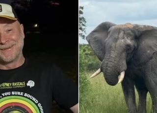 Dono de parque que dizia preferir ser morto por elefante a atirar em um morre exatamente pisoteado por elefante