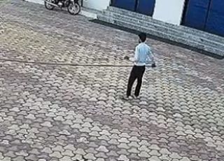 IMAGENS FORTES! Funcionário morre eletrocutado ao tentar espantar macaco em hotel na Índia. VEJA VÍDEO