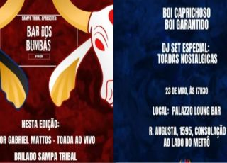 Boi-bumbá ganha destaque em São Paulo com evento que celebra tradição amazônica. VEJA VÍDEO