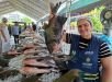 ADS comercializa mais de 37 toneladas de peixe em três dias do Feirão do Pescado na Semana Santa