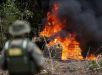 A nova fronteira do crime organizado está na Amazônia