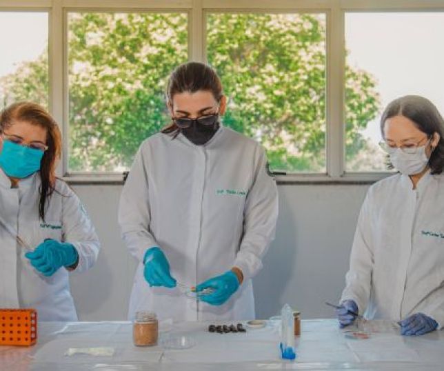 Programa inédito de apoio à liderança feminina na inovação e sustentabilidade recebe propostas até 14 de maio