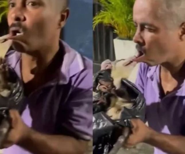 Homem leva mordida na boca após capturar mucura. VEJA VÍDEO