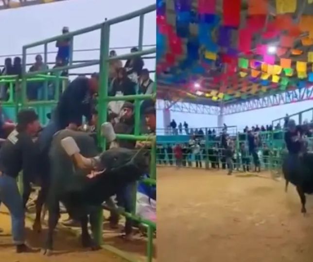 Peão é atacado por touro durante rodeio e fica em estado grave após acidente. VEJA VÍDEO