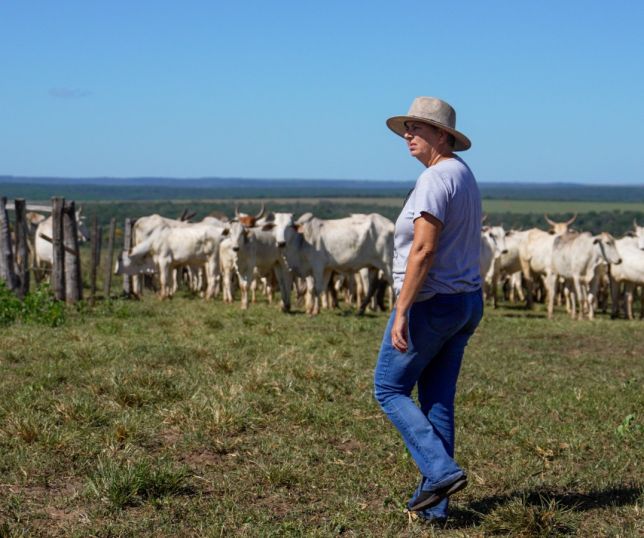 Produtoras rurais revelam como equilibram maternidade e negócios no campo