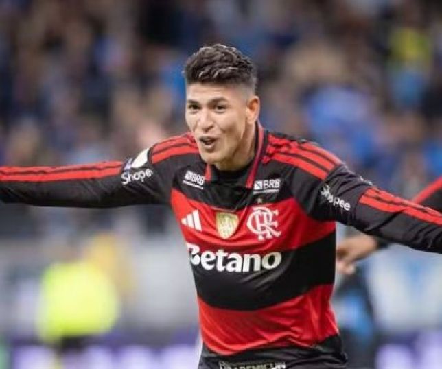 Flamengo bate Grêmio com autoridade e diminui distância para o Palmeiras. VEJA OS MELHORES MOMENTOS