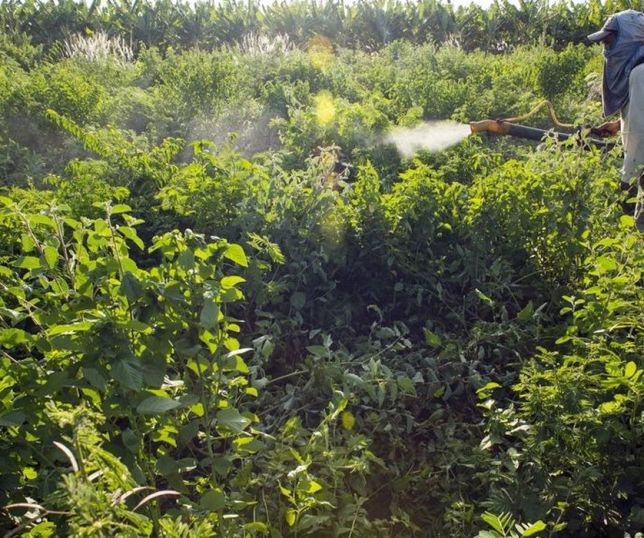Governo lança painel para monitorar agrotóxicos em rios e bacias hidrográficas do Brasil