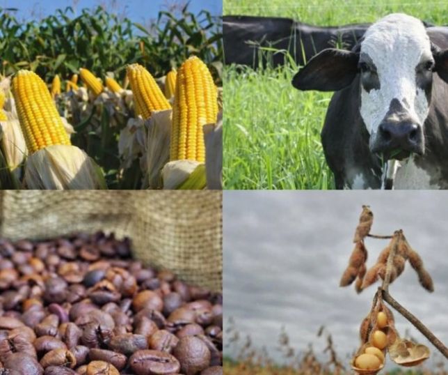 Agropecuária de Rondônia deve movimentar R$ 30 bilhões em 2026