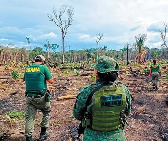 Ambientalistas tentam reduzir impacto de projetos do agro após pressão no Congresso