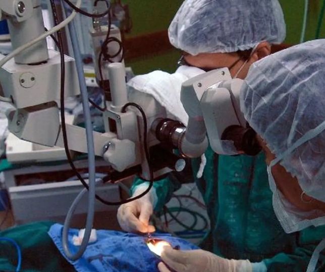 Pacientes com doença de Chagas têm risco cardíaco dobrado após cirurgias, aponta estudo