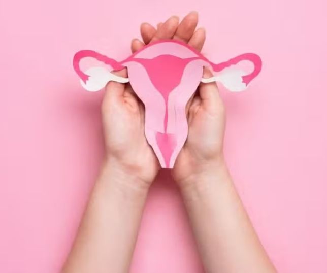Dia Internacional da Saúde da Mulher reacende debate sobre estética e bem-estar