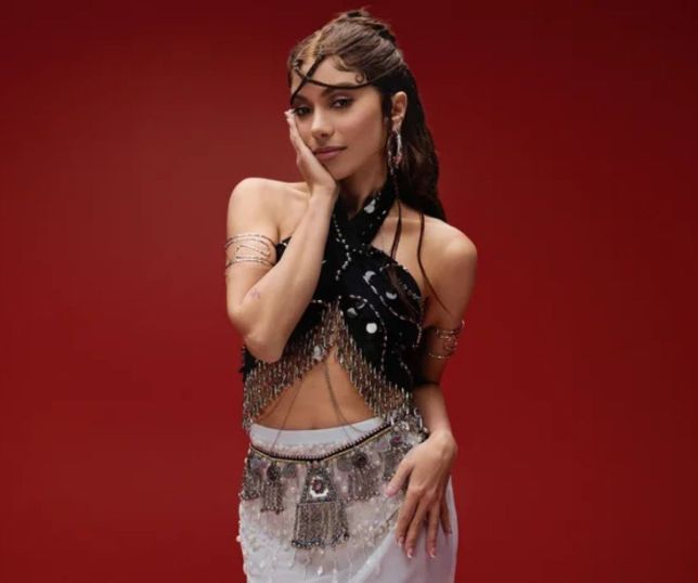 Anitta anuncia nova turnê no Brasil e fãs criticam número reduzido de shows