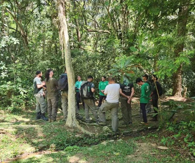 Parque Nacional da Tijuca bate recorde de visitantes e reforça ações para preservar área ambiental