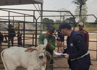 Caso de raiva animal é confirmado no Amazonas e reforça alerta sanitário