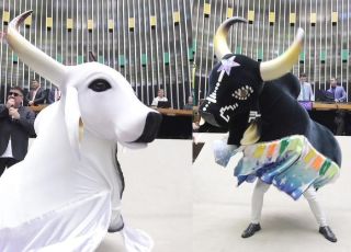 Caprichoso e Garantido recebem homenagem na Câmara dos Deputados em Brasília