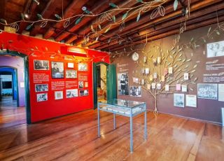 Fundação Casa de Jorge Amado celebra 40 anos com ações culturais e clube de leitura