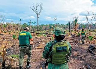 Ambientalistas tentam reduzir impacto de projetos do agro após pressão no Congresso