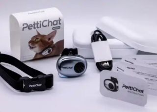 Coleira com inteligência artificial promete traduzir latidos e miados de pets