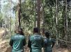 IPAAM  encerra defeso florestal e libera retomada do manejo de madeira no amazonas