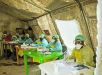 OMS declara emergência internacional por surto de ebola e acende alerta global na África