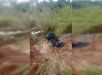 Cães mortos são encontrados em sacos de lixo e chocam moradores no entorno do Distrito Federal. VEJA VÍDEO