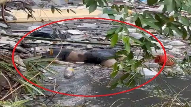 IMAGENS FORTES! CORPO DE SUPOSTA MULHER TRANS COM MARCAS DE TORTURA E ESTRANGULAMENTO É ENCONTRADO BOIANDO EM IGARAPÉ NO BAIRRO SÃO GERALDO, ZONA CENTRO-SUL DE MANAUS. VEJA VÍDEO