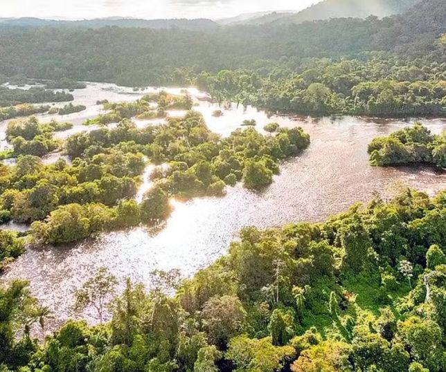 Ministério Público Federal tenta barrar acordo bilionário de créditos de carbono firmado pelo Pará com coalizão internacional
