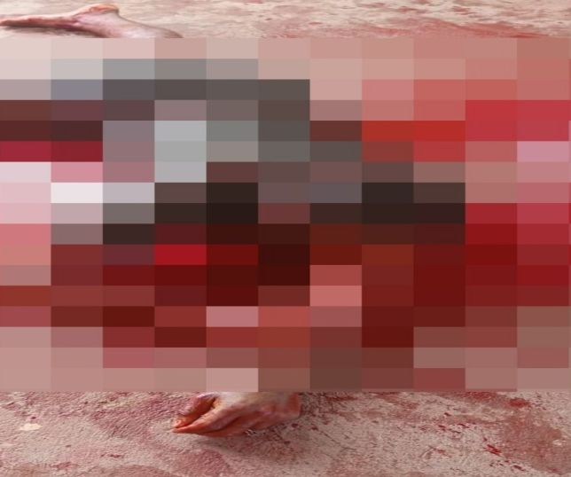 IMAGENS FORTES! Discussão entre irmãos termina em morte a facadas no bairro lagoa azul e choca moradores. VEJA REPORTAGEM DO 'PORTAL DO ZACARIAS' AO VIVO