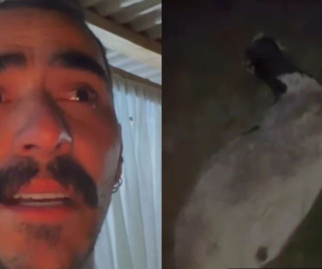 Influenciador que viralizou após relatar avistamento de OVNI diz que animais de sua fazenda estão sendo mortos. VEJA VÍDEO