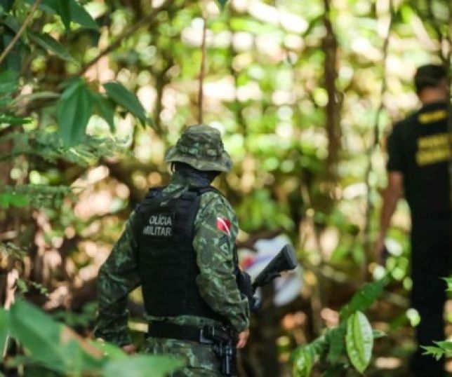  Pará lidera o ranking de denúncias ambientais na Amazônia 