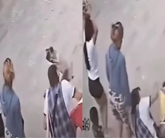 Mulher é atingida na cabeça por pug que caiu de sacada de prédio e caso viraliza nas redes sociais. VEJA VÍDEO