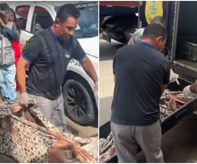 Corpo de homem é encontrado em banheiro de quitinete no bairro Crespo, Zona Centro-Sul de Manaus. VEJA REPORTAGEM DO 'PORTAL DO ZACARIAS' AO VIVO