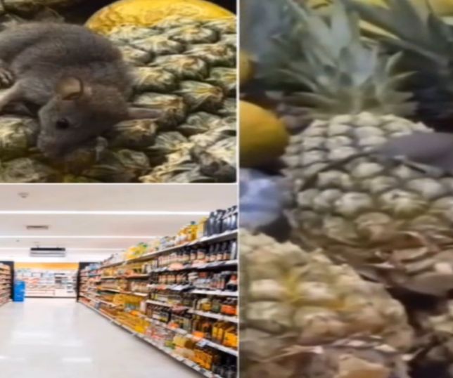 Rato passeia sobre frutas em supermercado de Manaus e vídeo causa revolta nas redes sociais. VEJA AS IMAGENS