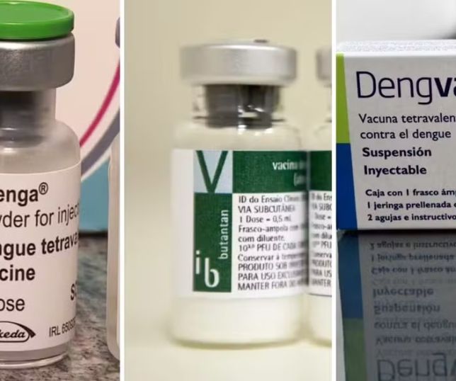 Vacinas contra dengue: saiba quem pode tomar Qdenga, Dengvaxia e Butantan-DV