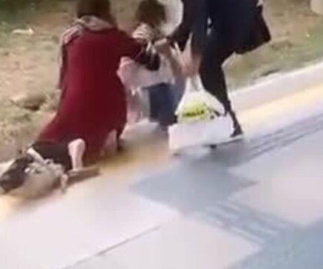 Criança sobrevive após cair entre plataforma e trem em estação de São Paulo. VEJA VÍDEO